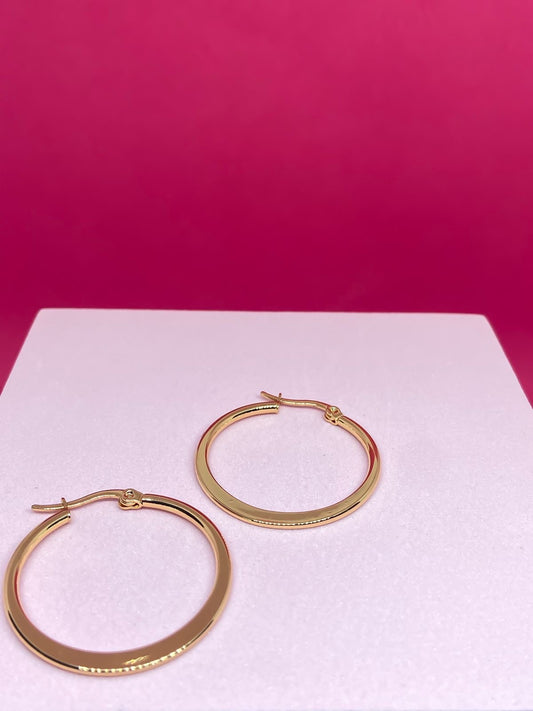 Jenelle Gold Hoop Earrings