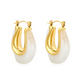 Ezra Earrings ~ Waterproof