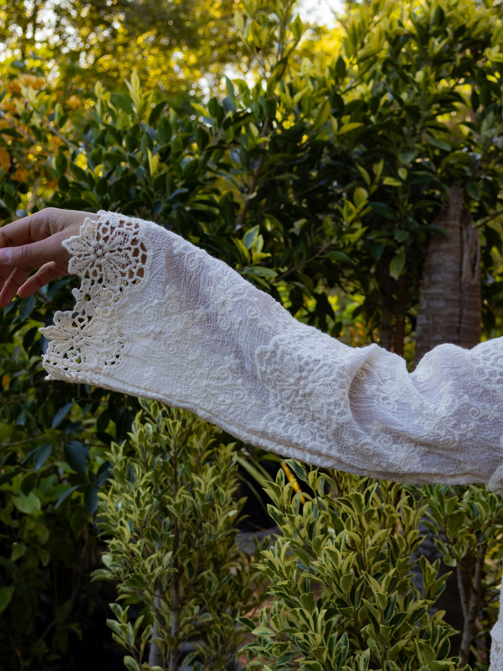 Isla Lace Top ~ Beige